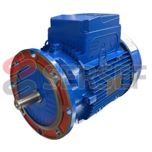 MOTOR HB3 132S6 IMB5R KW=3 V=230/400 6P RPM=970 R000153234 IE3 IP55 MARCA ROSSI